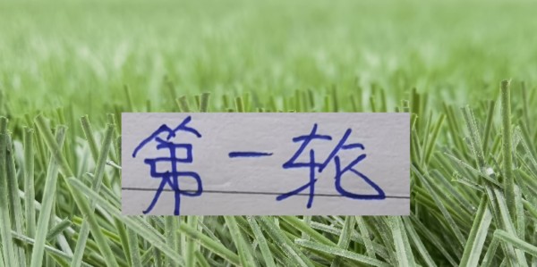 乐鱼leyu赛事中心-第一轮能横着走三大中锋 申花是盖伊 山东是克雷桑 成都是费利佩